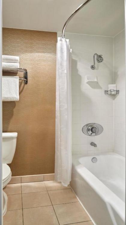 Sheraton Park Hotel at the Anaheim Resort - image 3