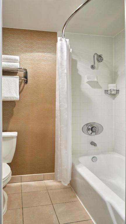 Sheraton Park Hotel at the Anaheim Resort - image 3
