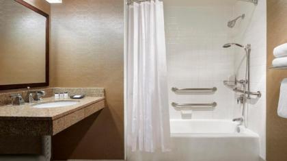 Sheraton Park Hotel at the Anaheim Resort - image 4