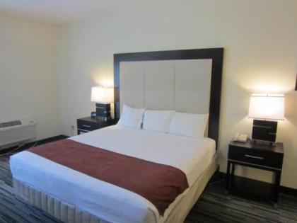 Arena Hotel - image 2