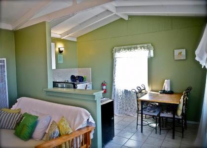 Harmony Motel - image 2