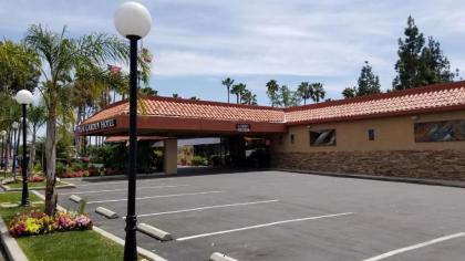 Palm Garden Hotel - image 4