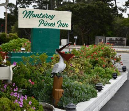 Monterey Pine Inn