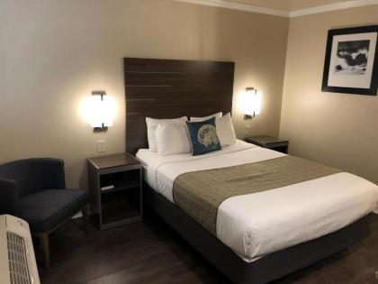 El Castell Motel - image 2