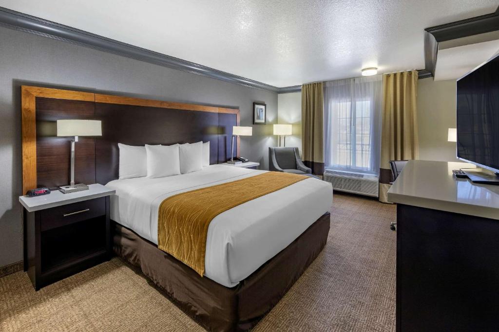 Comfort Inn & Suites Near Universal - North Hollywood – Burbank - image 5
