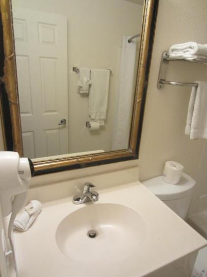 Americas Best Value Inn & Suites Anaheim - image 3