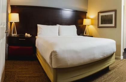 Sonesta ES Suites San Jose - Airport - image 4
