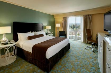 Crowne Plaza Cabana Hotel an IHG Hotel - image 3
