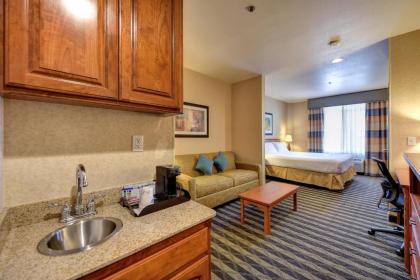 Holiday Inn Express Hotel & Suites Manteca an IHG Hotel - image 3