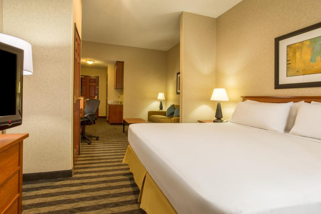 Holiday Inn Express Hotel & Suites Manteca an IHG Hotel - image 5