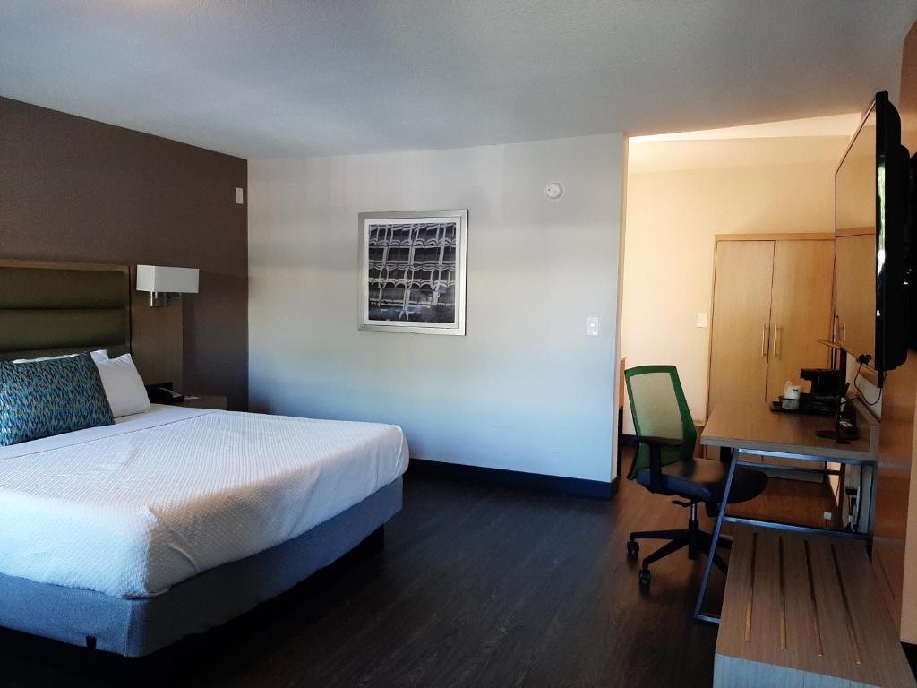 GreenTree Pasadena - image 2