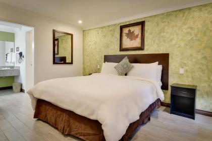 Vagabond Inn San Pedro - image 3