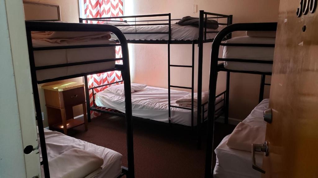 European Hostel - image 4