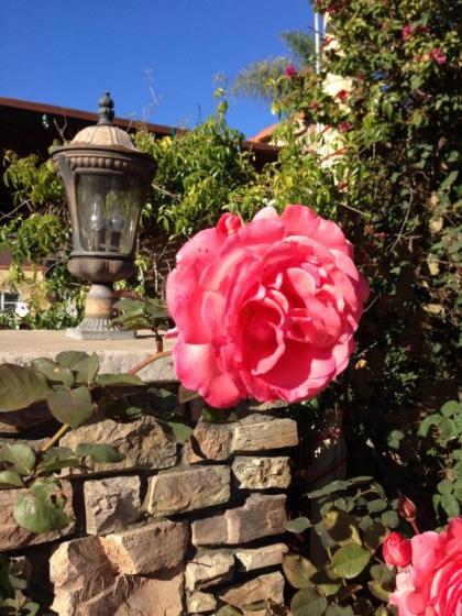 Leucadia Beach Inn Encinitas California