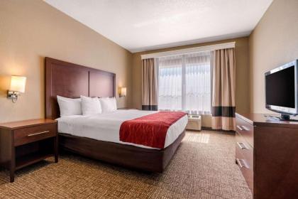 Comfort Inn Lathrop Stockton Airport - image 5