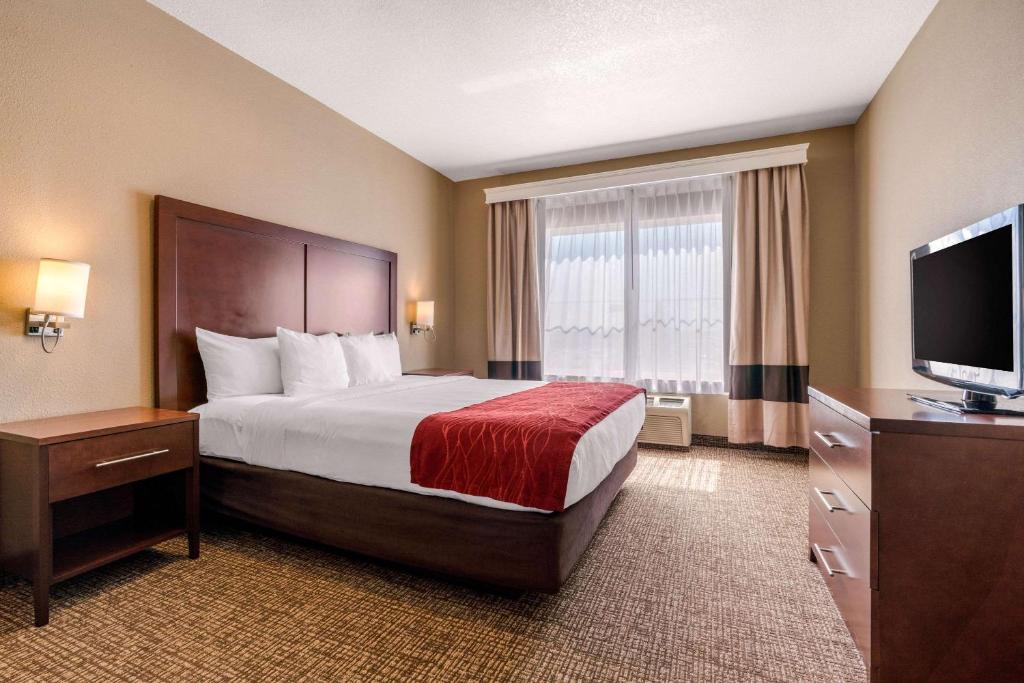 Comfort Inn Lathrop Stockton Airport - image 5