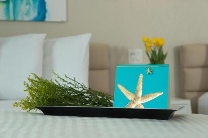 Hotel Aqua Mar - image 5