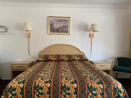 Lark Motel Willits - image 4