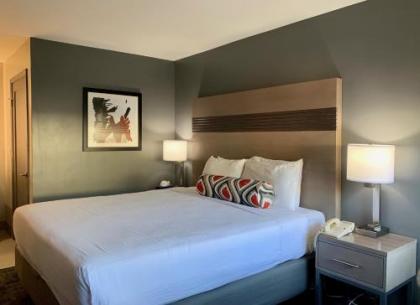 Pacific Motor Inn - image 4