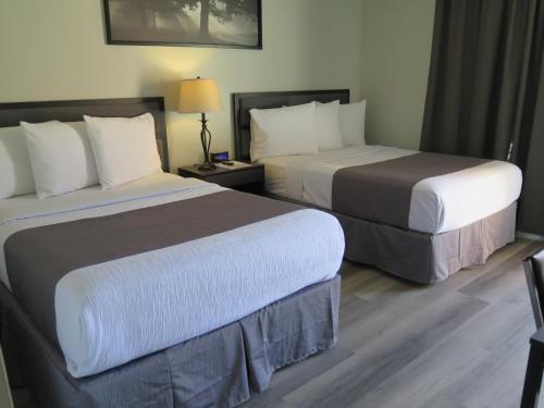 DTLA Hotel - main image