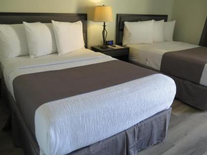 DTLA Hotel - image 2