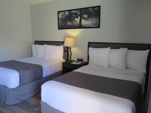 DTLA Hotel - image 3