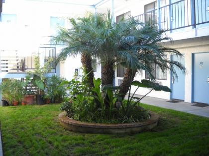 Palms Courtyard Inn - image 3
