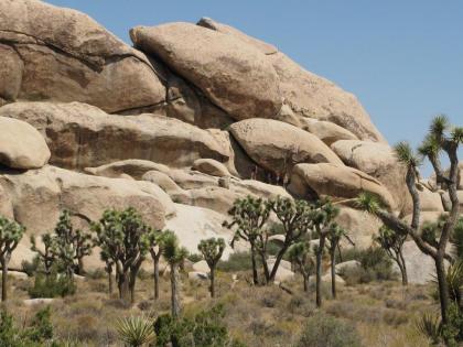 Fairfield Inn & Suites Twentynine Palms - Joshua Tree National Park - image 2