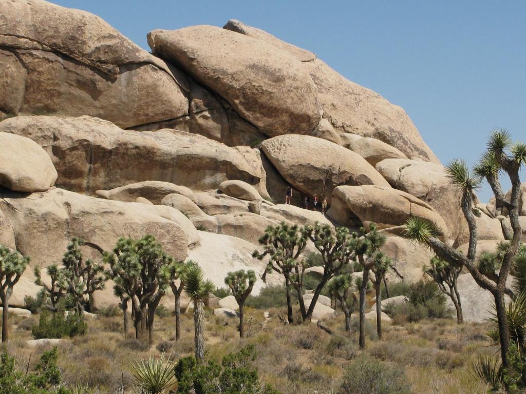 Fairfield Inn & Suites Twentynine Palms - Joshua Tree National Park - image 2