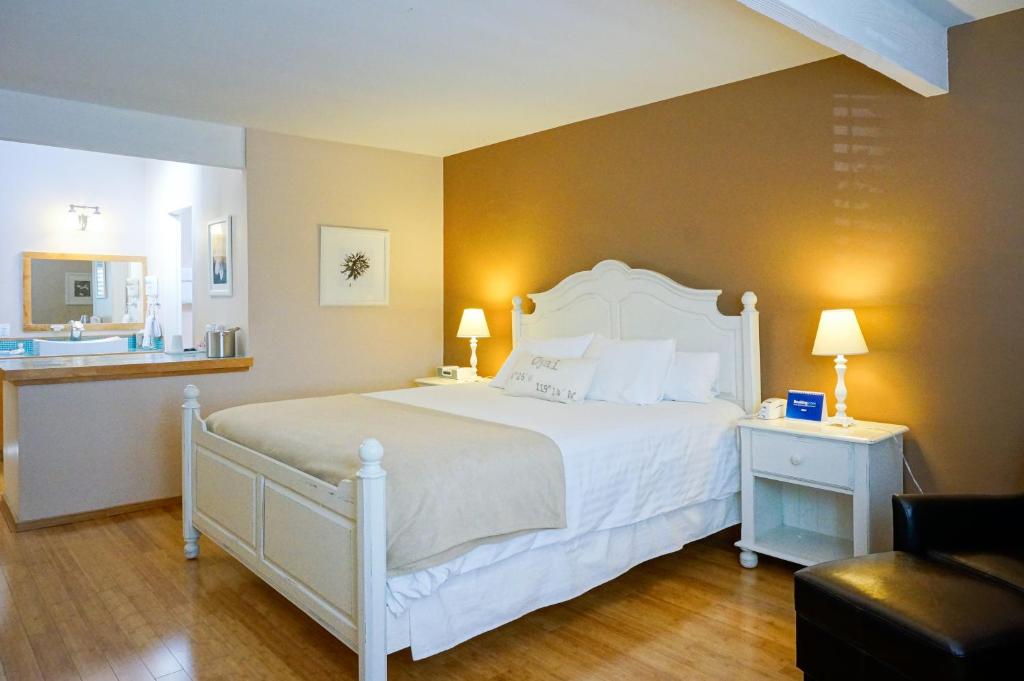 Hummingbird Inn - main image