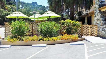 Best Western Park Crest Inn - image 3
