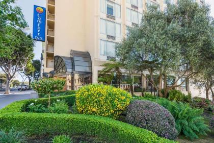 Comfort Inn By the Bay Hotel San Francisco San Francisco California