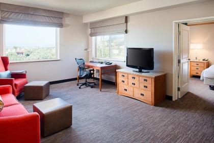 Hilton Garden Inn San Luis Obispo/Pismo Beach - image 3