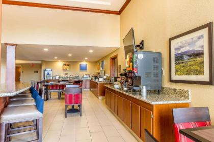 Comfort Inn & Suites Rocklin - image 4