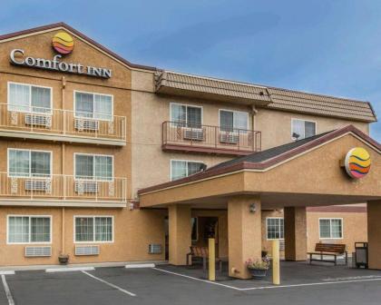 Comfort Inn Yreka I 5 Yreka