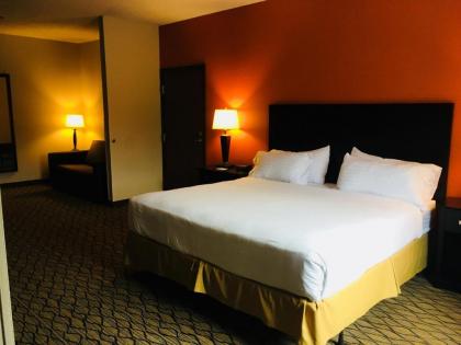 Holiday Inn Express Hotel & Suites Cadillac an IHG Hotel - image 8