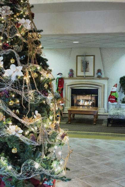 Best Western Plus Caldwell Inn & Suites - image 2
