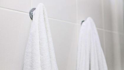 Best Express Inn & Suites Calera - image 4