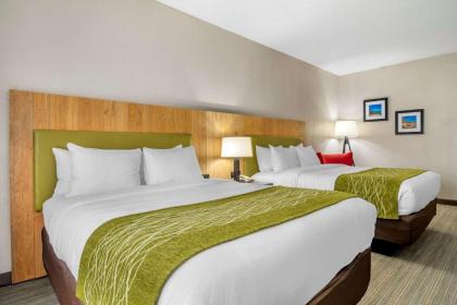 Comfort Inn & Suites Calhoun South - image 11
