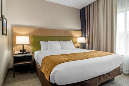 Comfort Inn & Suites Calhoun South - image 14