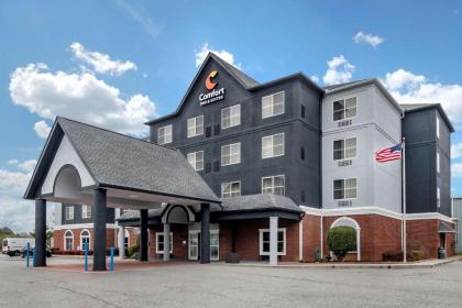 Comfort Inn & Suites Calhoun South - image 2