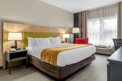 Comfort Inn & Suites Calhoun South - image 5