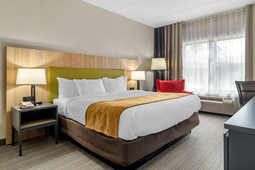 Comfort Inn & Suites Calhoun South - image 5