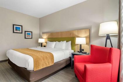 Comfort Inn & Suites Calhoun South - image 6
