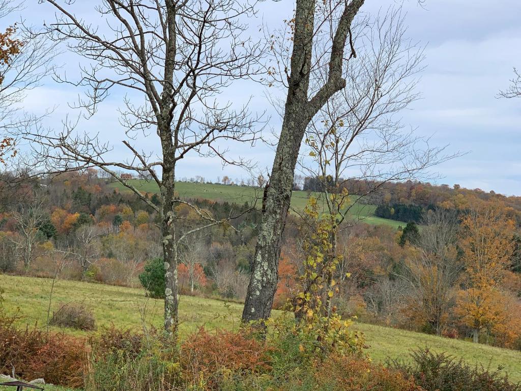 Tentrr - Fields of Dreams at Callicoon - image 5