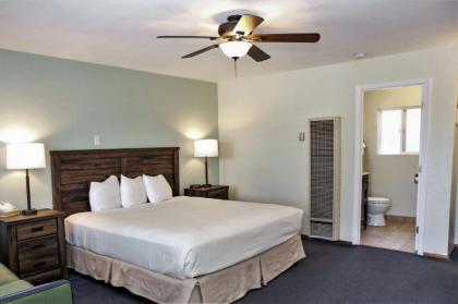 Bluebird Inn - image 11