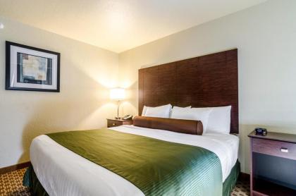 Cobblestone Inn & Suites - Cambridge - image 10