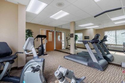 Comfort Inn & Suites - image 7