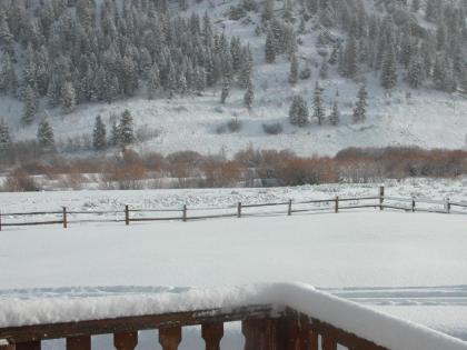 Montana Spirit Guest Lodge - image 8