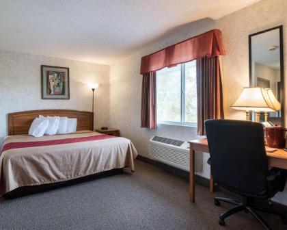 Econo Lodge Inn & Suites Canandaigua - image 15